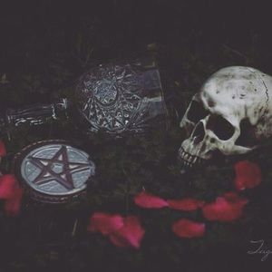 Meet your Posher, Mackenzie